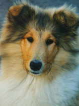 Bryna.jpg (4380 Byte)