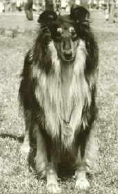 Chepko.jpg (8284 Byte)