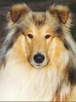 Clayton 2.jpg (4961 Byte)