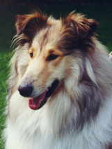 Edette.jpg (5027 Byte)