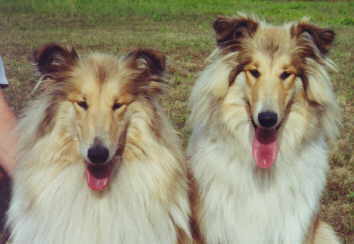 Elswood & Fenja.jpg (10702 Byte)