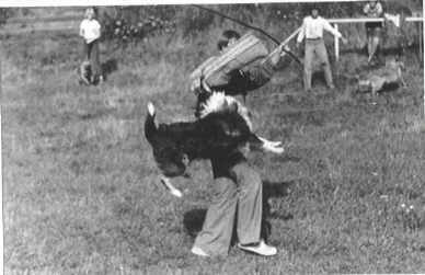 Fides Arm 2.jpg (14358 Byte)