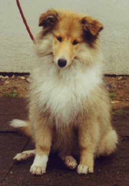 Gisca 13 W.jpg (9618 Byte)