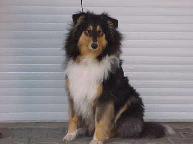 Gordon 8 Mon..jpg (9106 Byte)