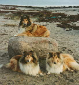Hatschip,Utje,Chennen Strand 2.jpg (12950 Byte)