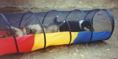 I Tunnel 7 W.jpg (9915 Byte)