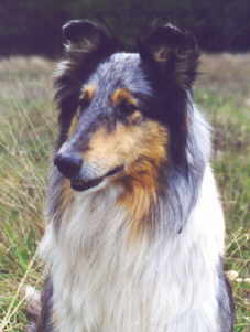 Quinny 12 Jahre.jpg (8844 Byte)