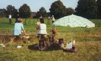 Sommerfest 01 Schatten.jpg (10681 Byte)