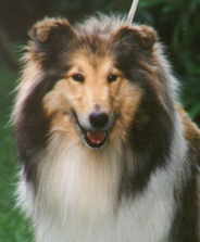 Ushdy.jpg (5082 Byte)