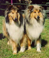Ushdy, Vadette.jpg (8694 Byte)