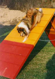 Utje A-Wand.jpg (7624 Byte)