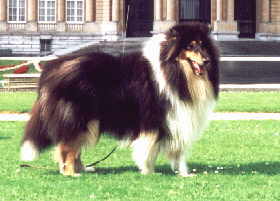 Watson Schlo�.jpg (10137 Byte)